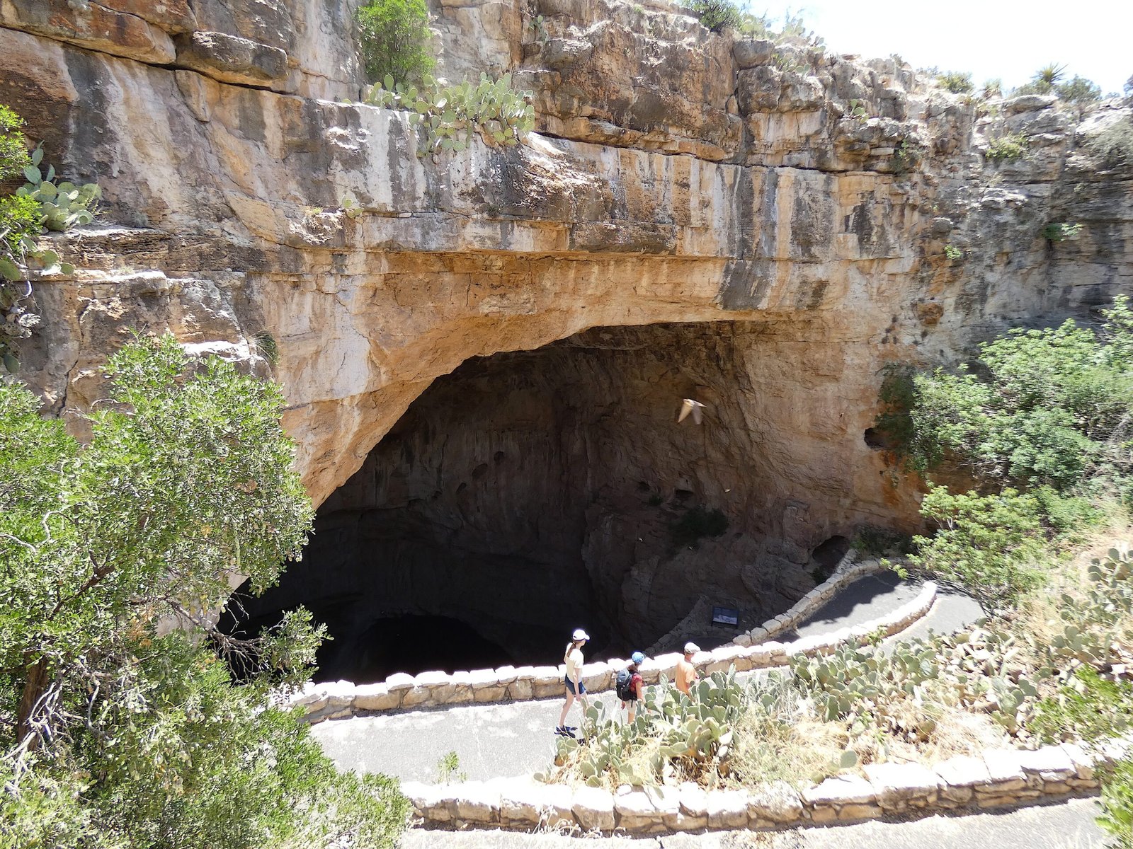 Hikers descending the steep stone switchback trail leading down into the massive, dark opening of the Natural Entrance at Carlsbad Caverns.