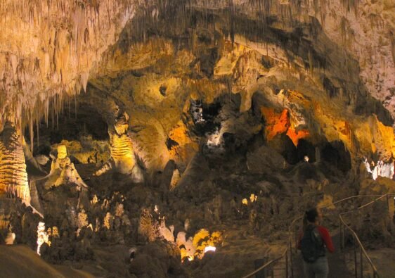 Woman walking along a handrail path inside Carlsbad Caverns gazing up at massive stalactites and cave formations.