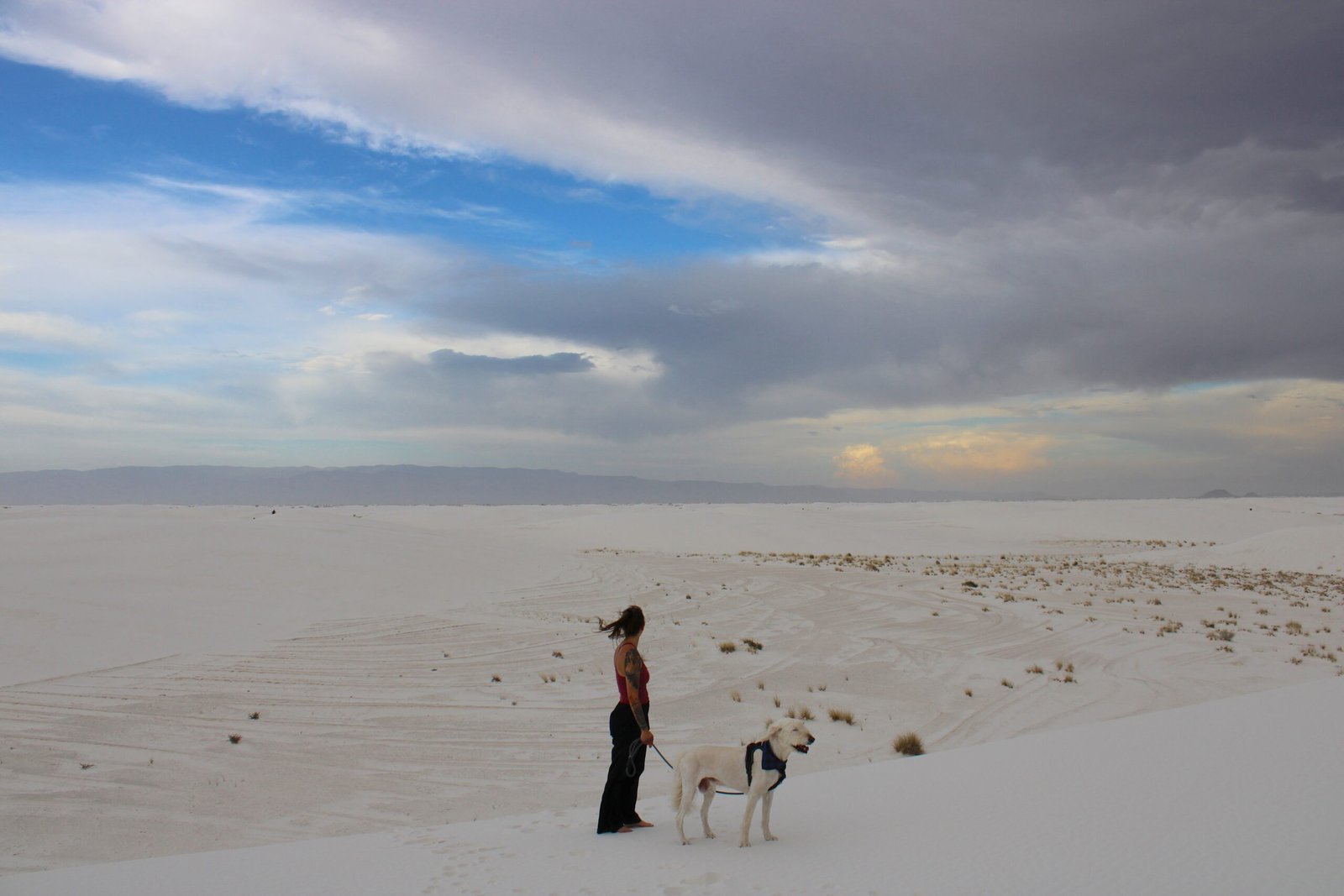 Walking across the open gypsum dunes with dogs under moody, overcast skies at White Sands National Park.