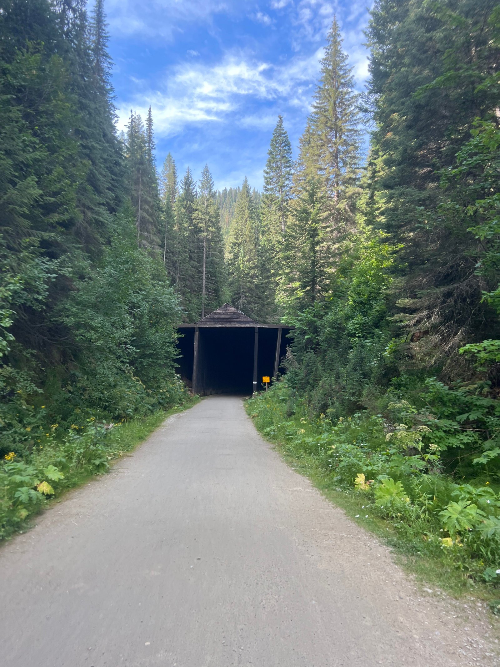 Looking down a gravel trail toward the distant entrance of the Taft Tunnel surrounded by evergreen pine trees on the Route of the Hiawatha.