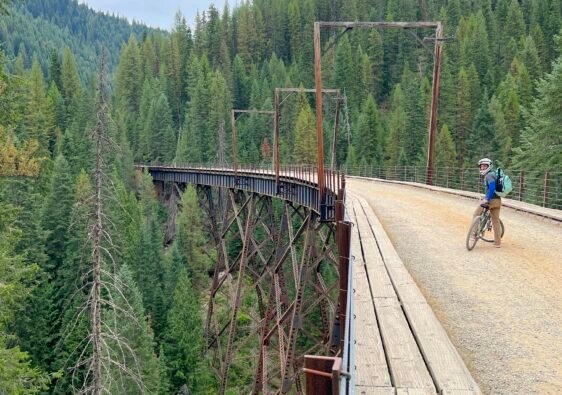 Close-up view of a man riding a bicycle across a historic wooden trestle bridge framed by lush green evergreen pine trees on the Route of the Hiawatha.