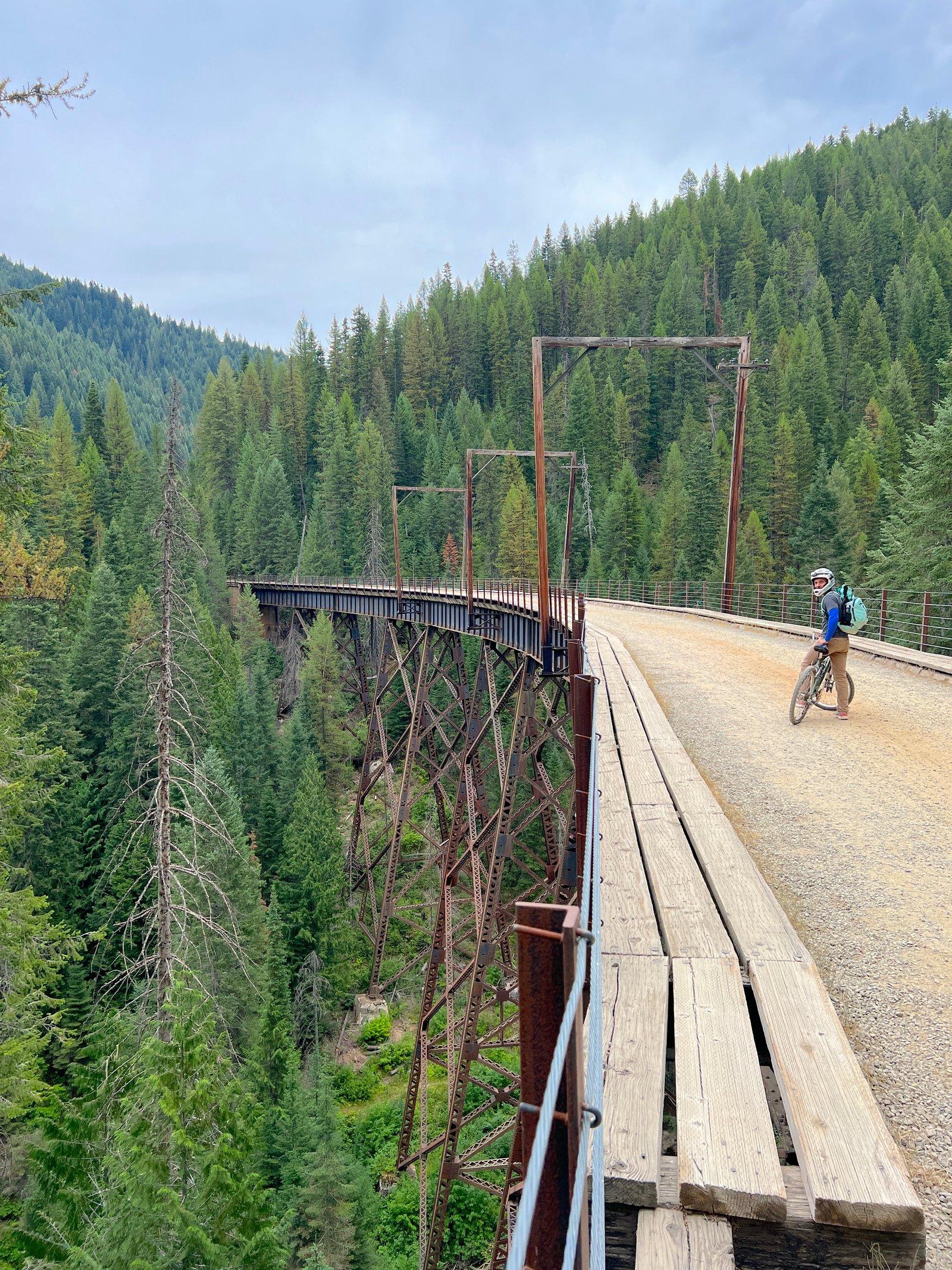 Close-up view of a man riding a bicycle across a historic wooden trestle bridge framed by lush green evergreen pine trees on the Route of the Hiawatha.