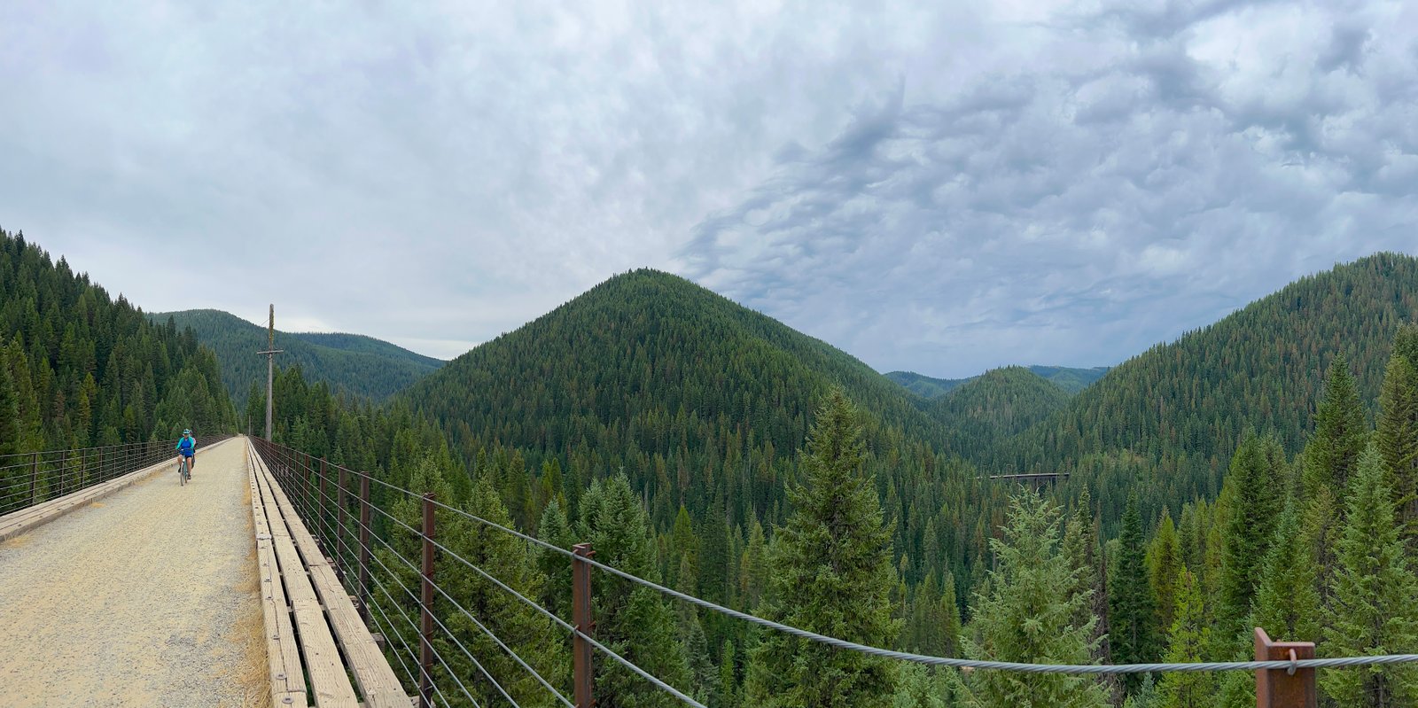 Wide landscape view of several bicyclists riding along a tall wooden trestle bridge surrounded by evergreen trees and mountains on the Route of the Hiawatha.