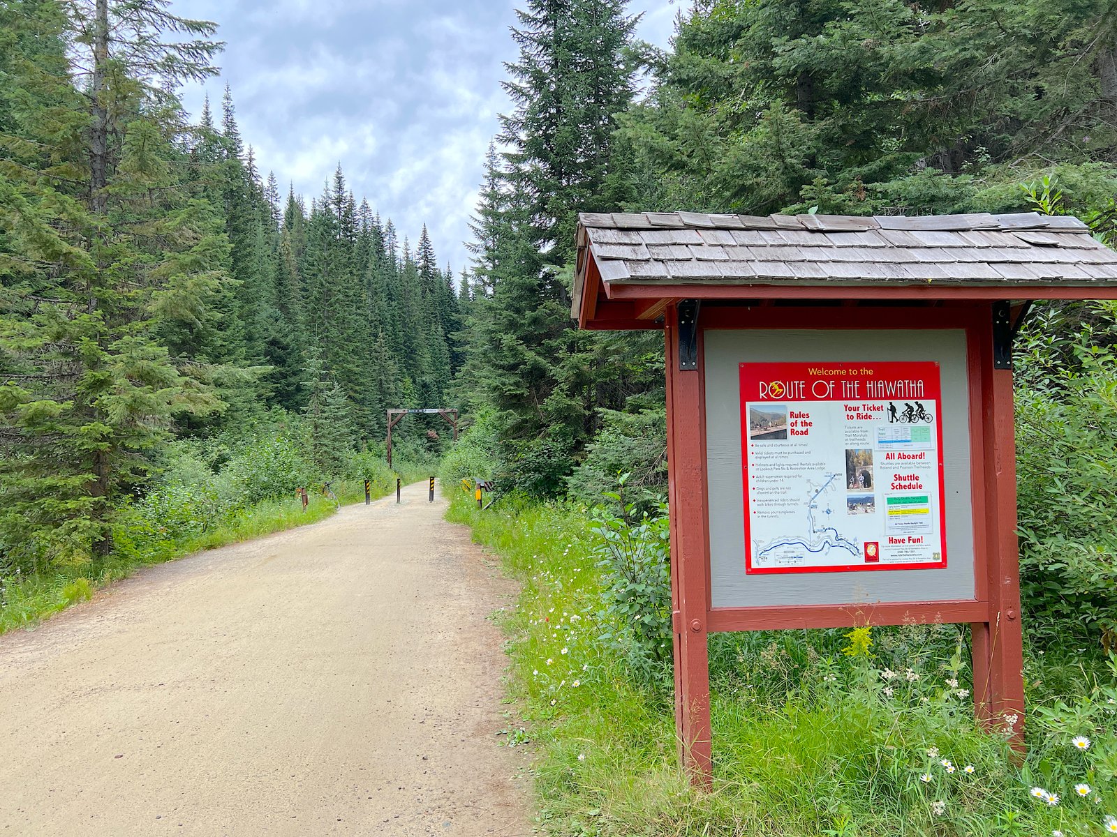 Official Route of the Hiawatha wooden trail sign standing alongside a lush, gravel bicycle path cutting through dense evergreen forest.
