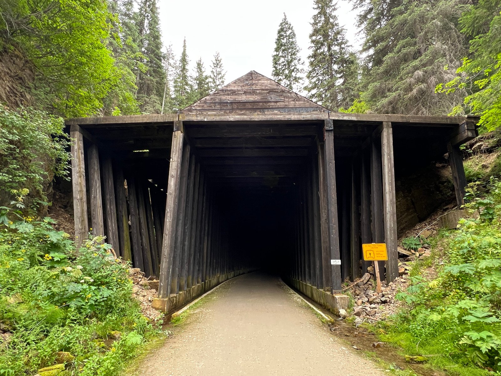 Close-up shot of the dark Taft Tunnel entrance framed by a heavy wooden shelter structure and surrounded by green pine trees on the Route of the Hiawatha.
