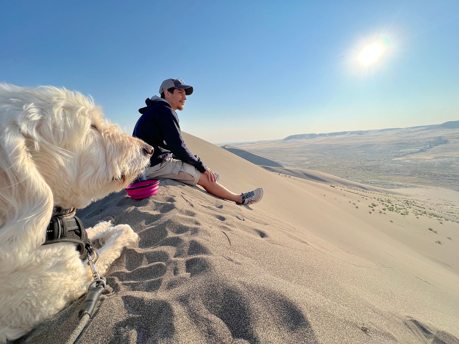 A golden doodle  and hiker relaxing together on the sand at Bruneau Dunes State Park in Idaho.