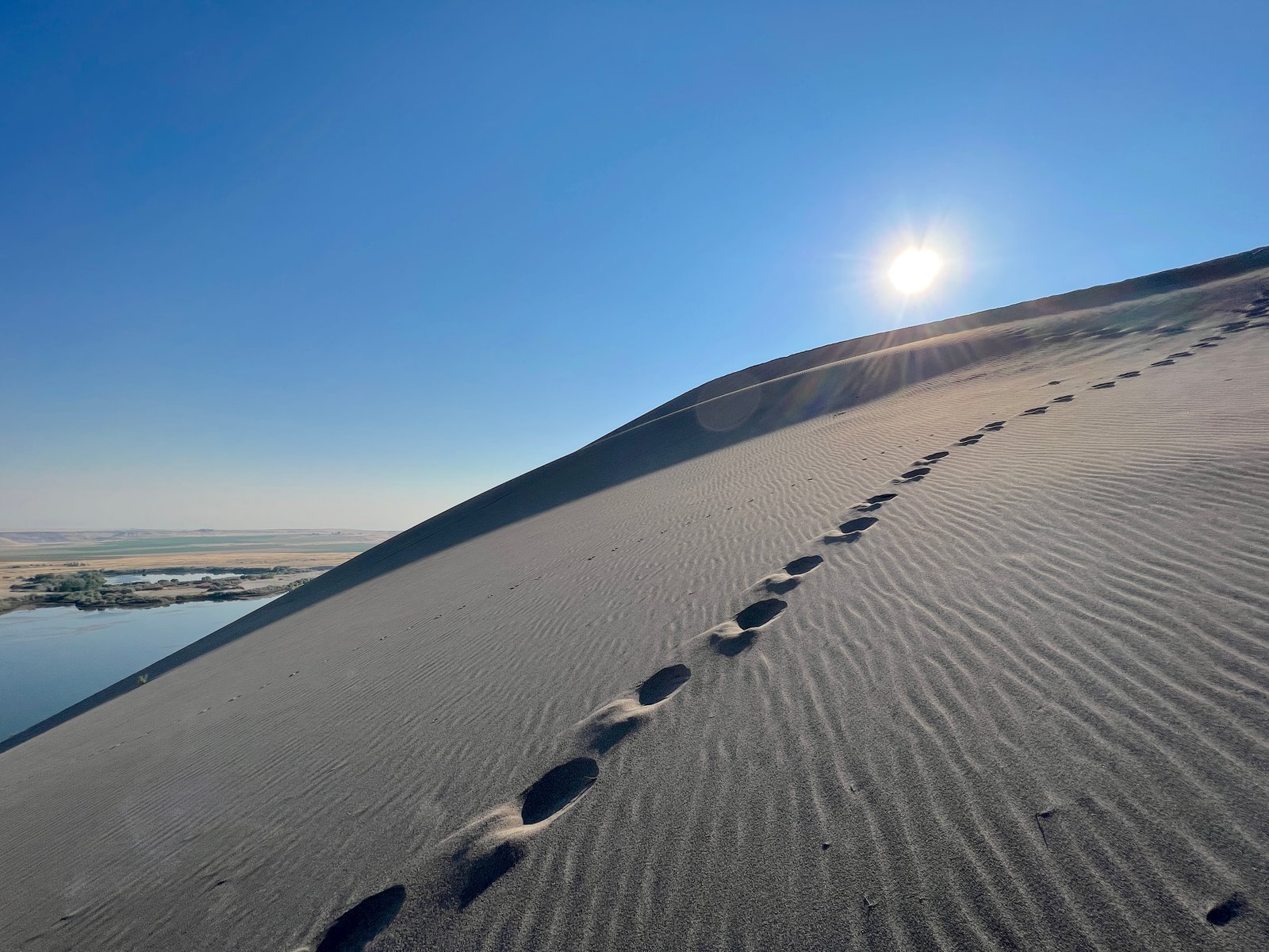 Footprints tracking up the crest of a sand dune under the bright morning sun at Bruneau Dunes State Park in Idaho.
