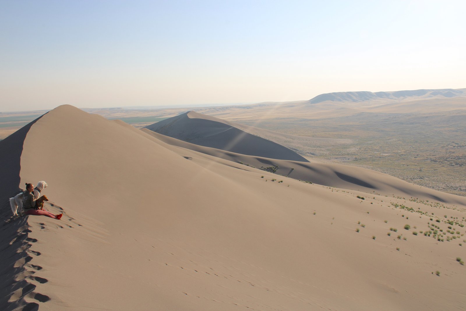 A traveler and her dogs sitting together on the crest of a massive sand dune, surrounded by rolling desert dunes at Bruneau Dunes State Park in Idaho.