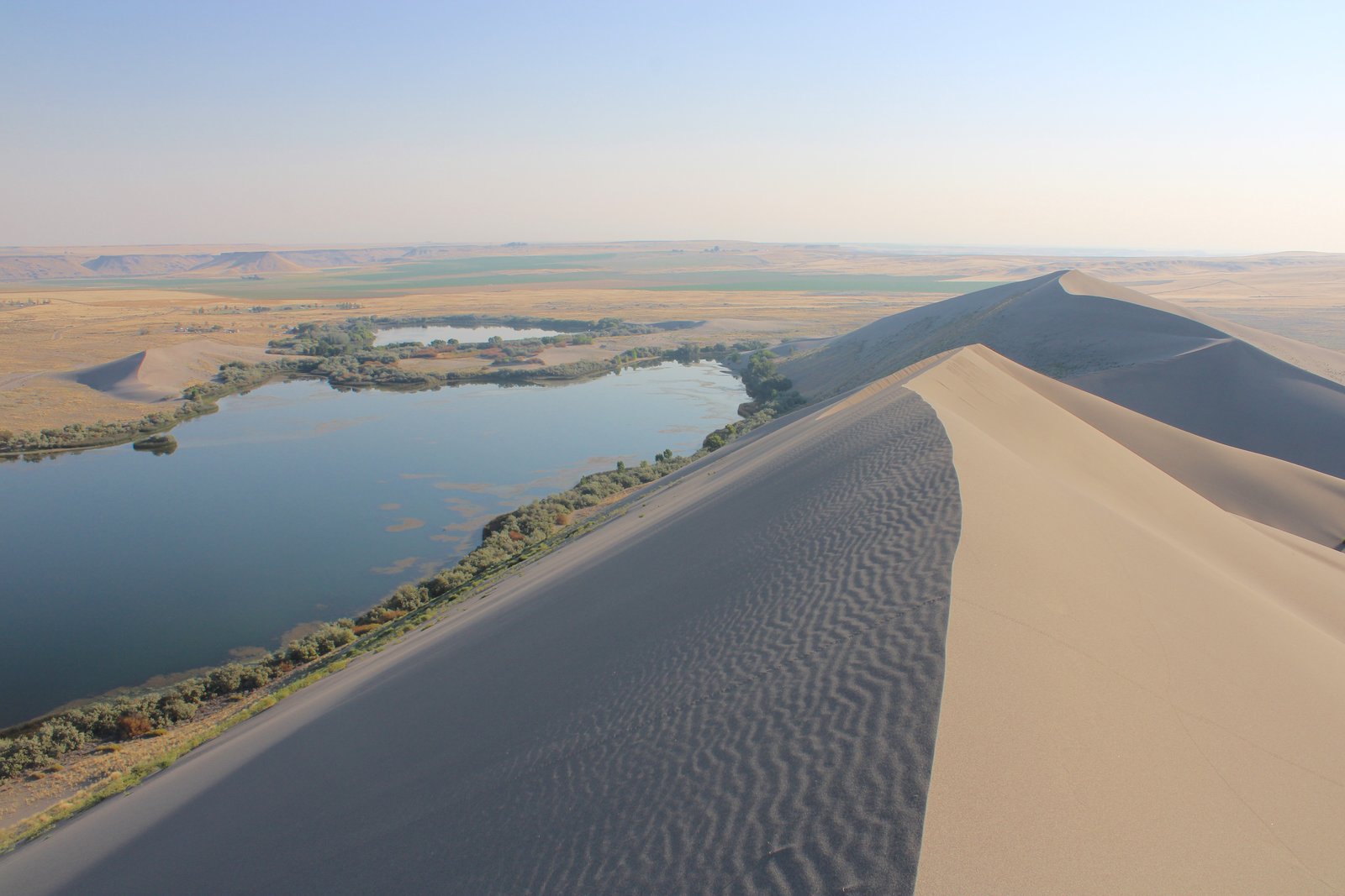 A wide-angle view of the towering sand dunes and desert lakes at Bruneau Dunes State Park in Idaho.
