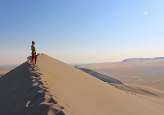 Hiker standing on the ridge of the massive sand dunes overlooking the desert basin at Bruneau Dunes State Park in Idaho.