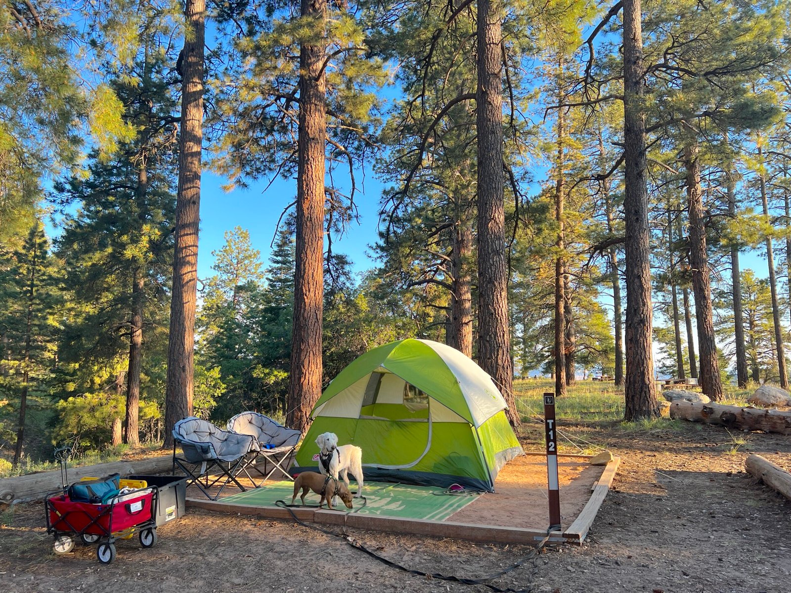 Tent site at North Rim Campground.