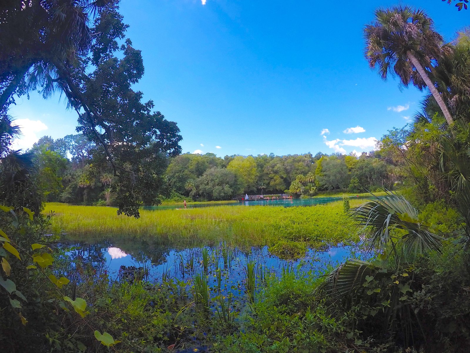 Far-away panoramic view of the crowded swimming beach and crystal-clear turquoise basin at Rainbow Springs State Park.
