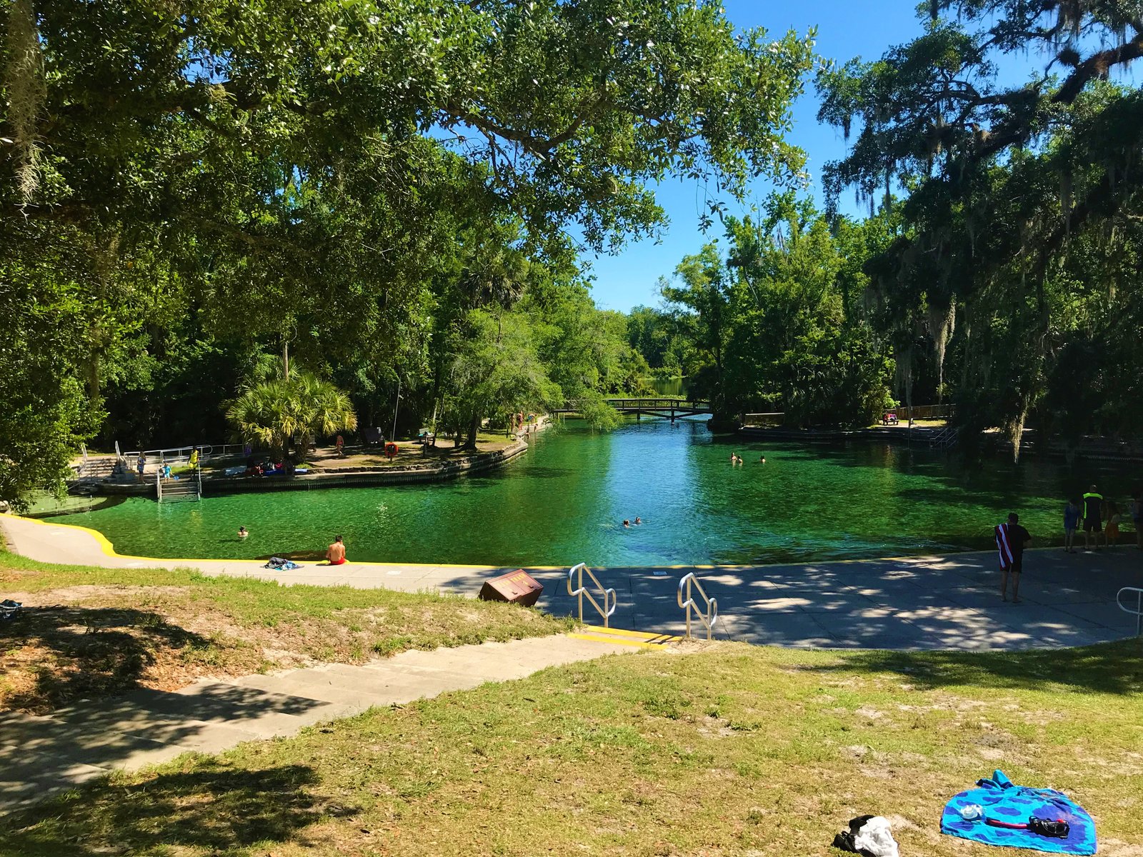 Swimmers enjoying the refreshing green waters at the main headspring and swimming area of Wekiwa Springs State Park