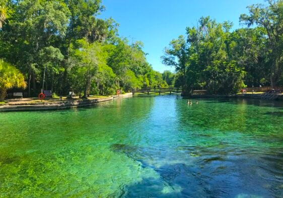 Vibrant crystal-clear turquoise water at the main spring boil of Wekiwa Springs State Park surrounded by lush green trees.