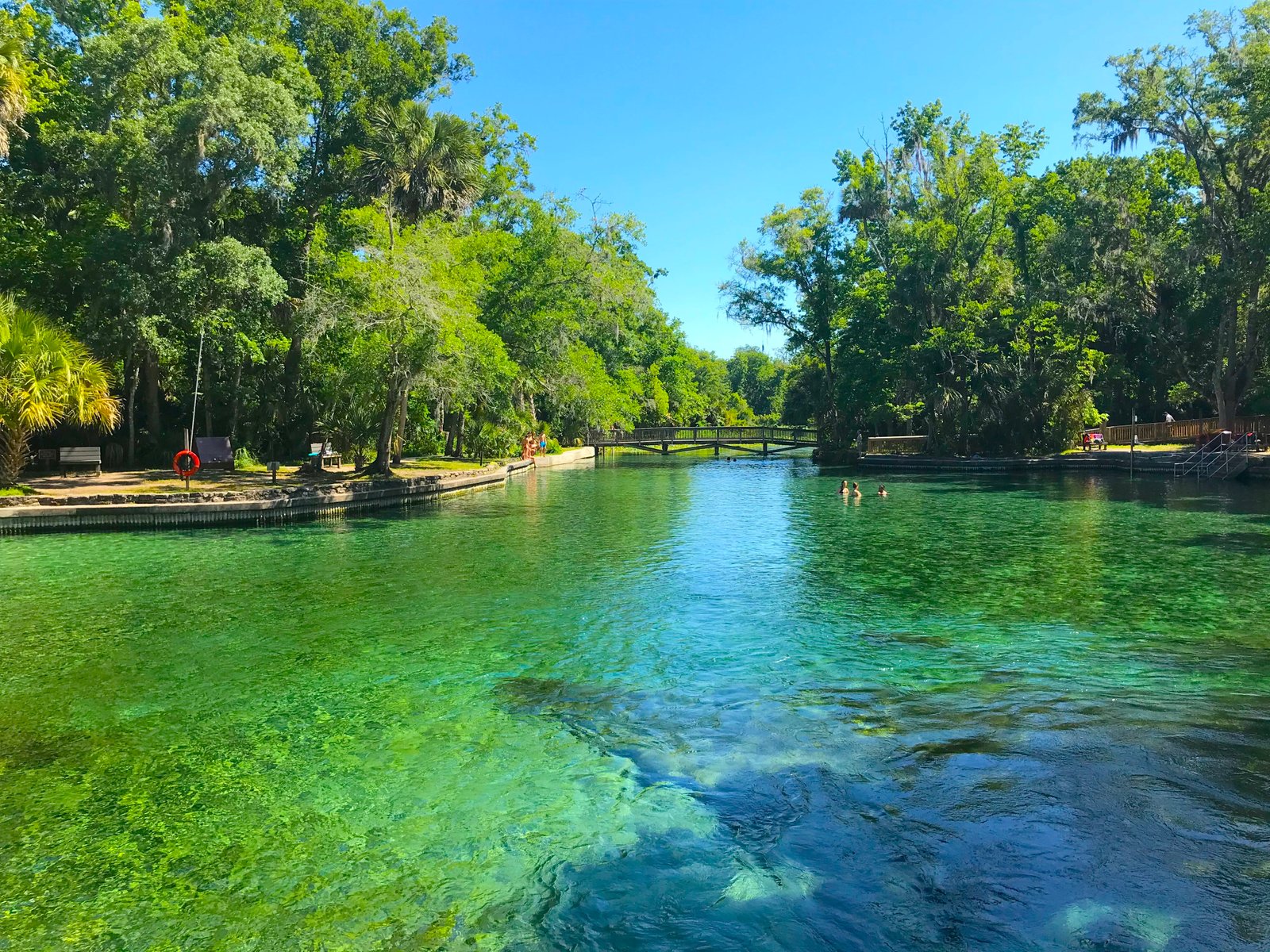 Vibrant crystal-clear turquoise water at the main spring boil of Wekiwa Springs State Park surrounded by lush green trees.