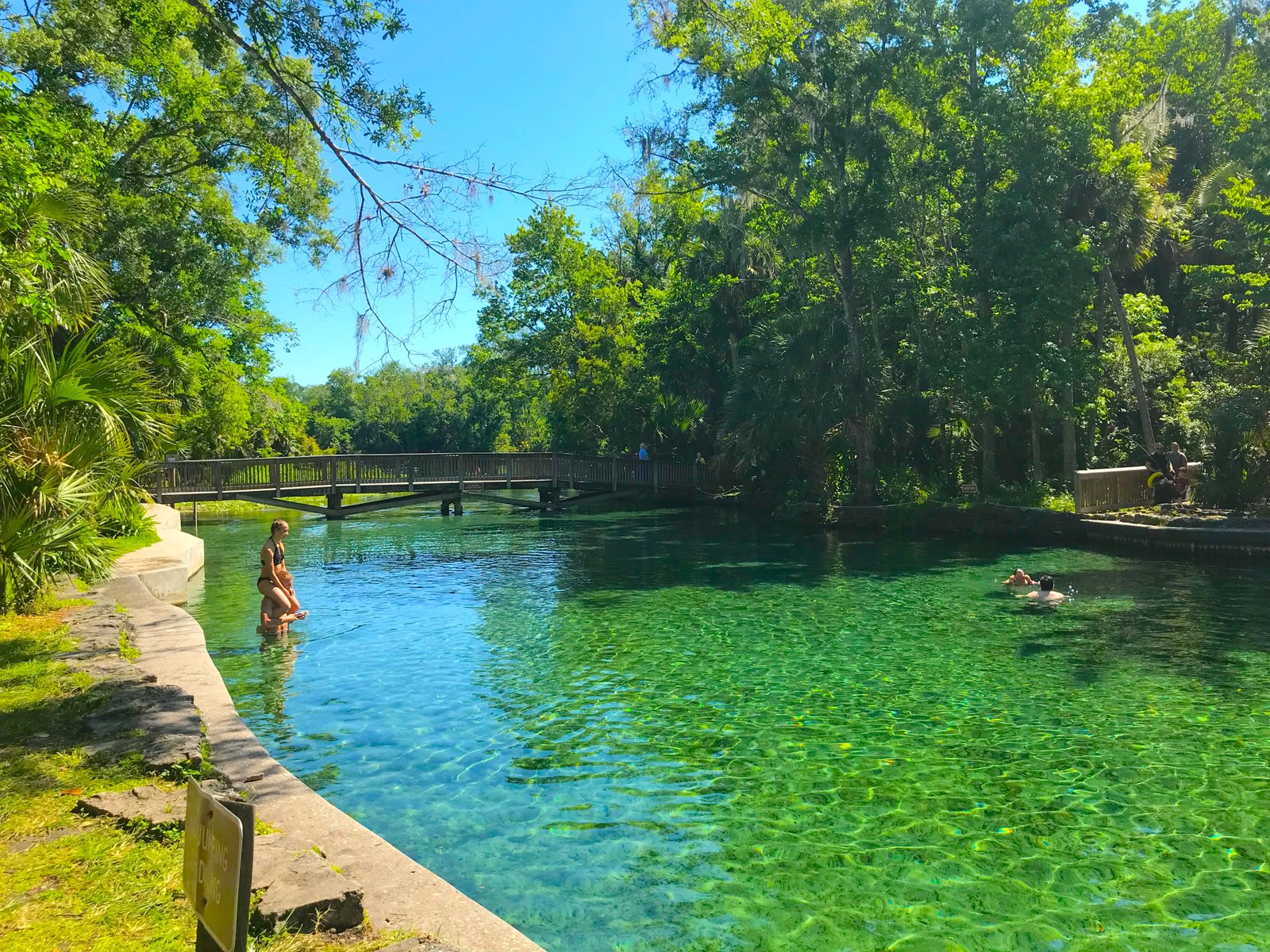 Visitors enjoying the water near the main headspring with the wooden footbridge visible in the background at Wekiwa Springs State Park.