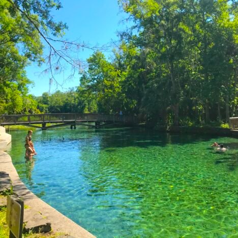 7 Great Things to do at Cloudland Canyon State Park