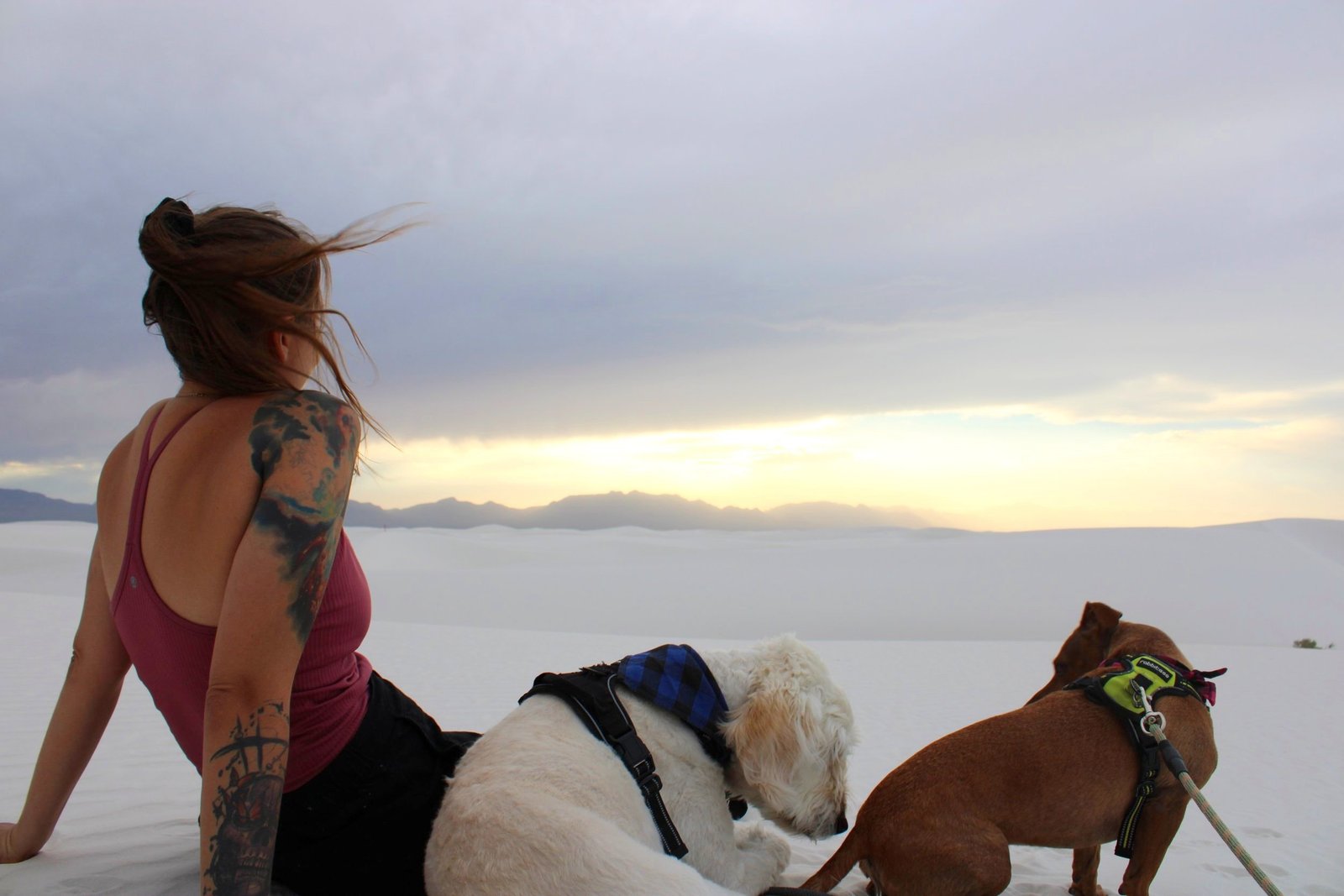 Sitting and relaxing on the white gypsum dunes at sundown with dogs as evening approaches at White Sands National Park in New Mexico.