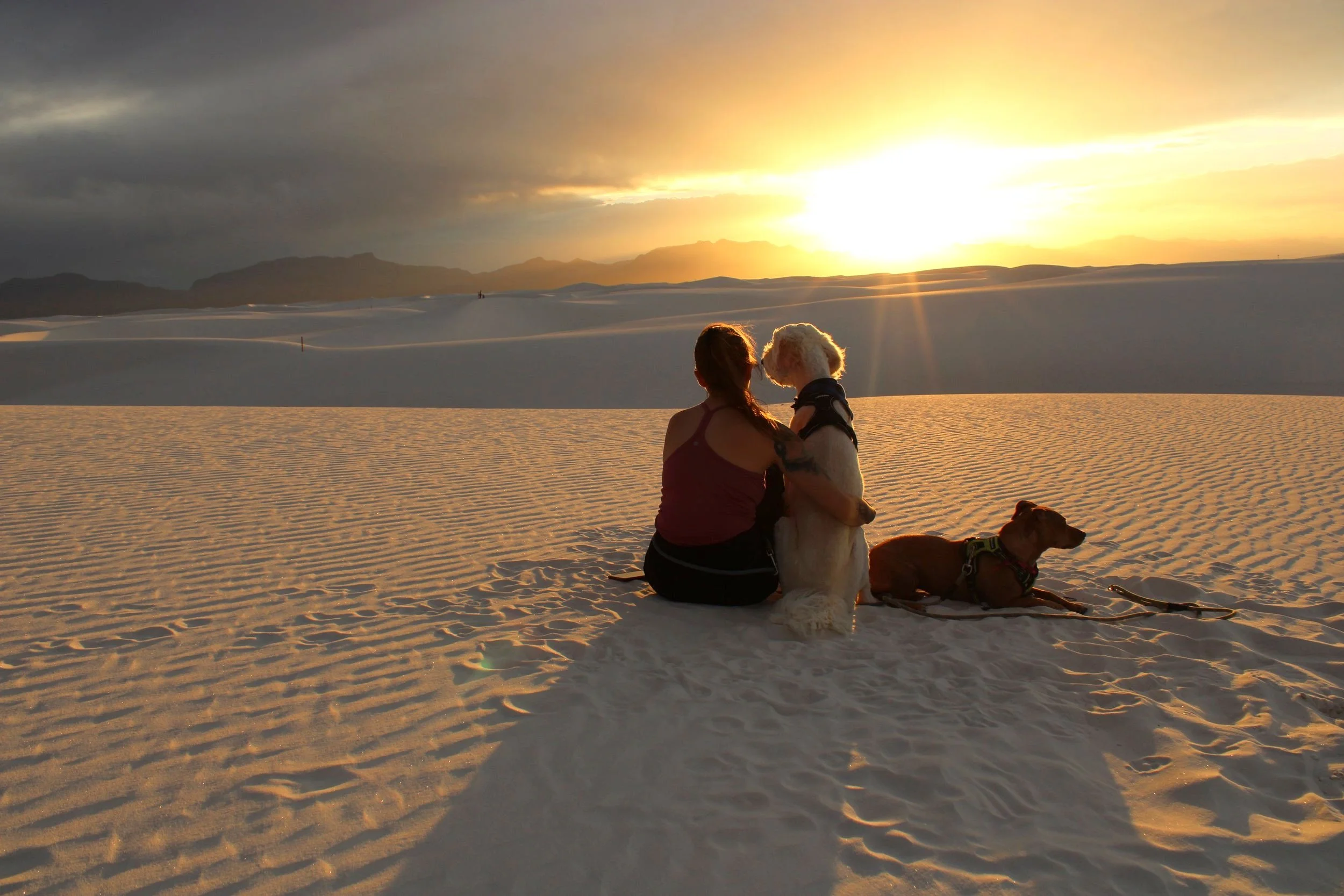 Looking out at a colorful desert sunset over the white gypsum dunes with dogs during an evening hike at White Sands National Park.