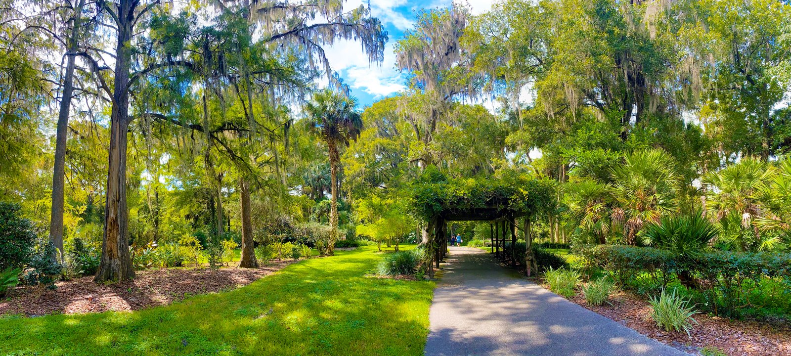 A lush, green walking path and arched overhead foliage leading through the shaded grounds at Silver Springs State Park.
