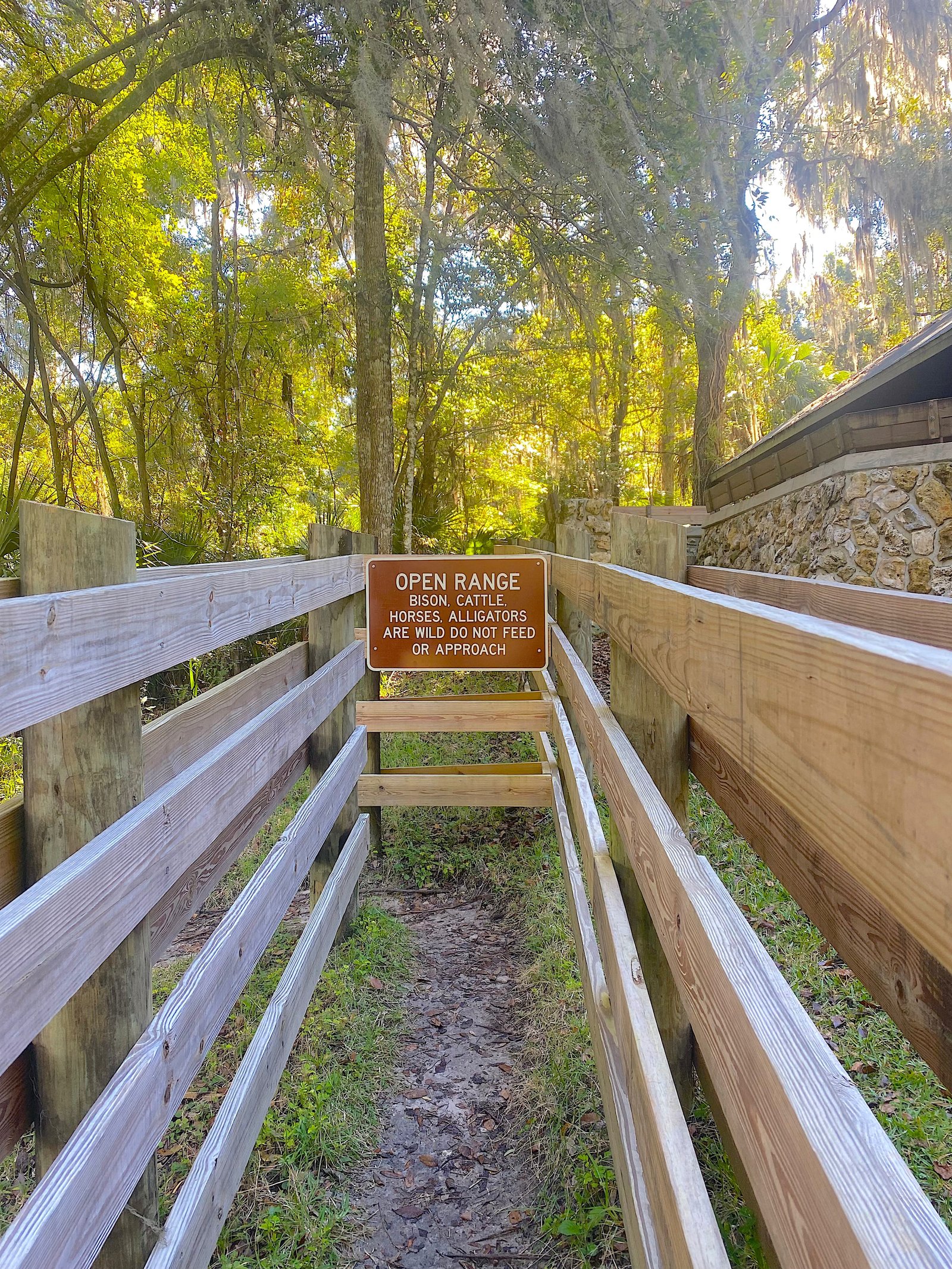 A wooden trail sign warning visitors that bison, cattle, horses, and alligators are wild and not to be approached or fed at Paynes Prairie Preserve State Park.