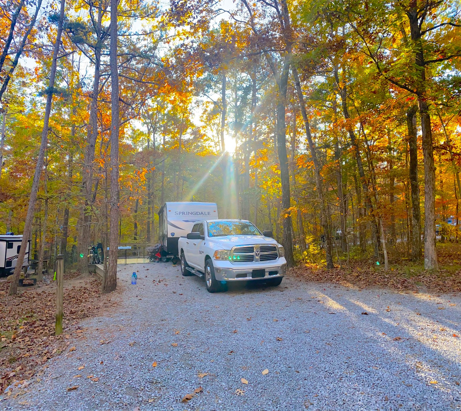 rv in campsite under yellow or orange leaves