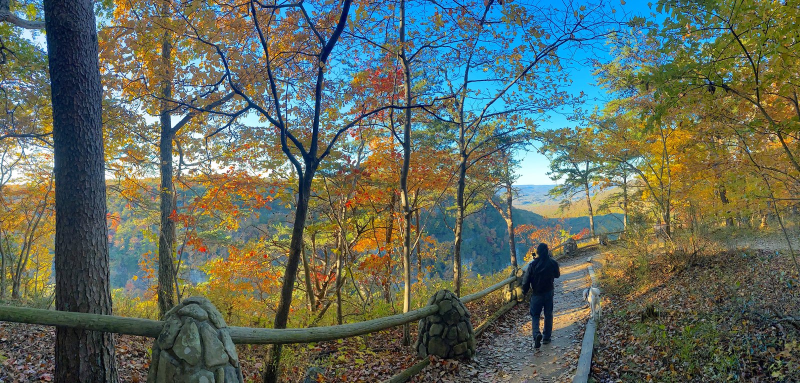 man walking on rim trail under fall trees