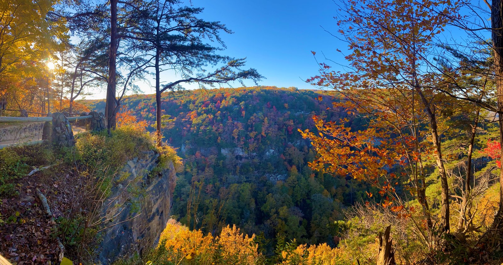 photo of rim walk with fall trees and sun shining through