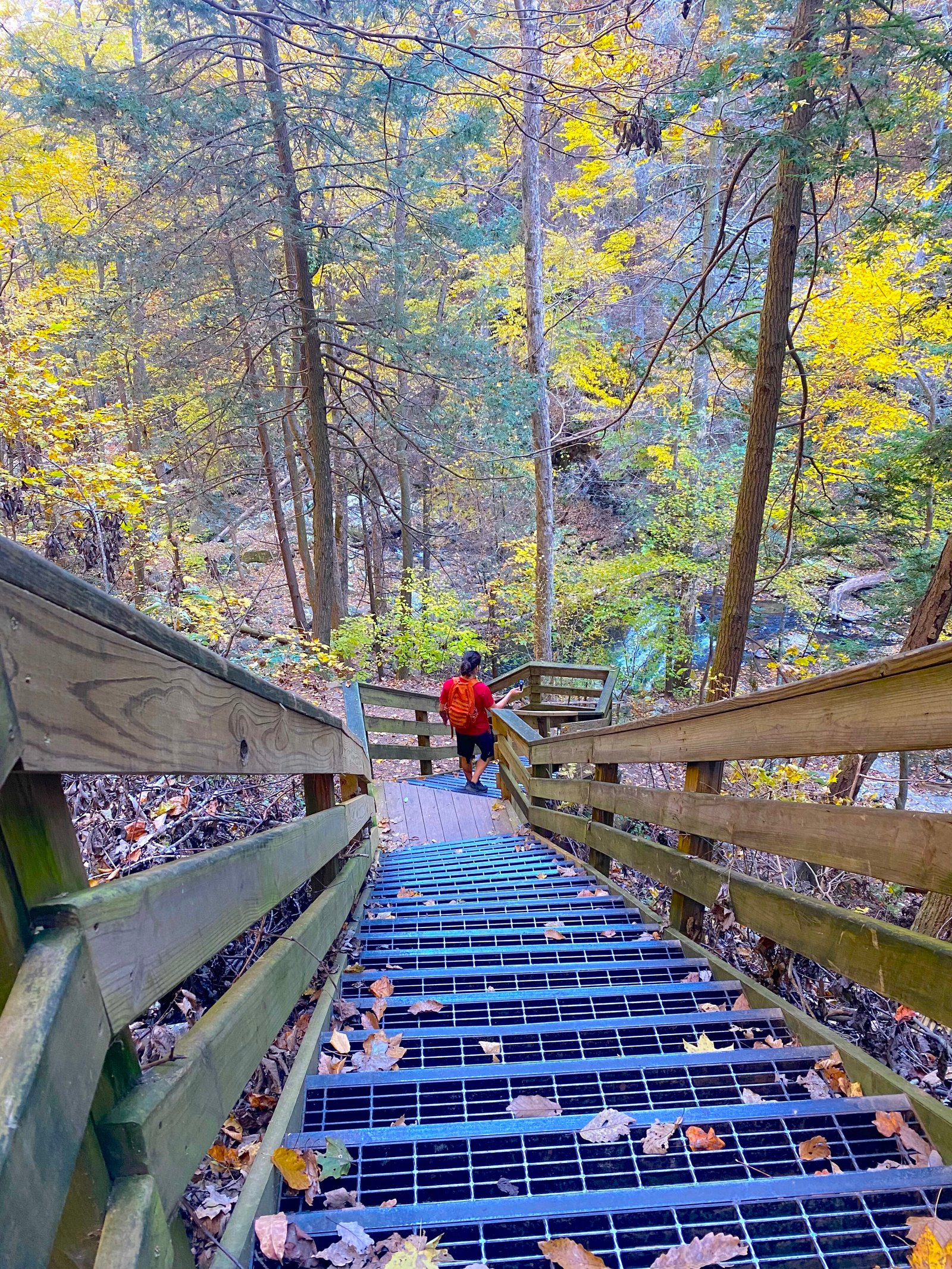 man walking down metal stairs in forest