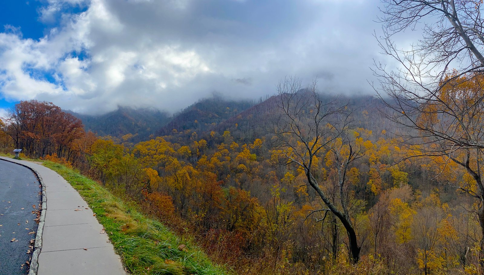 A sweeping view of autumn-colored mountain ridges blanketed by a thick, atmospheric layer of mist and fog in the Great Smoky Mountains National Park.