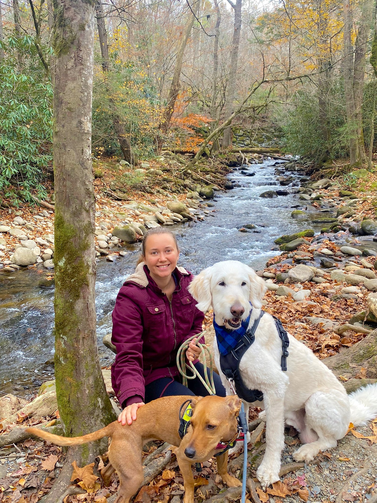 A person smiling with their two dogs by a scenic mountain creek.