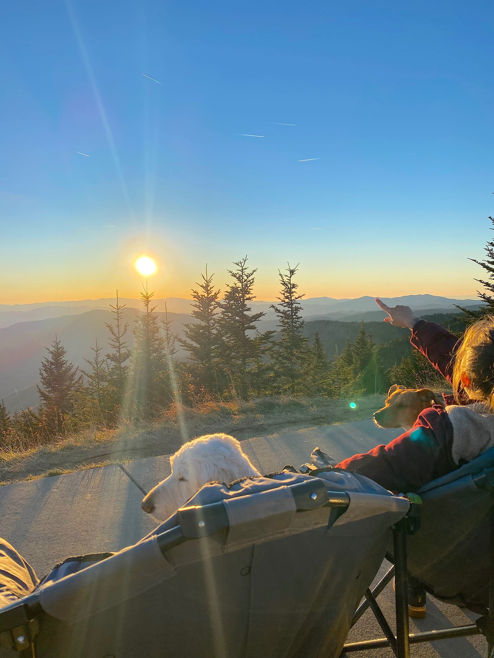A dog resting in a vehicle or chair while taking in a bright sunset over mountain ranges from the Clingmans Dome parking area.