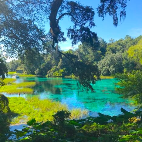 Wekiwa Springs State Park: The Ultimate Guide to Swimming, Paddling & Hiking