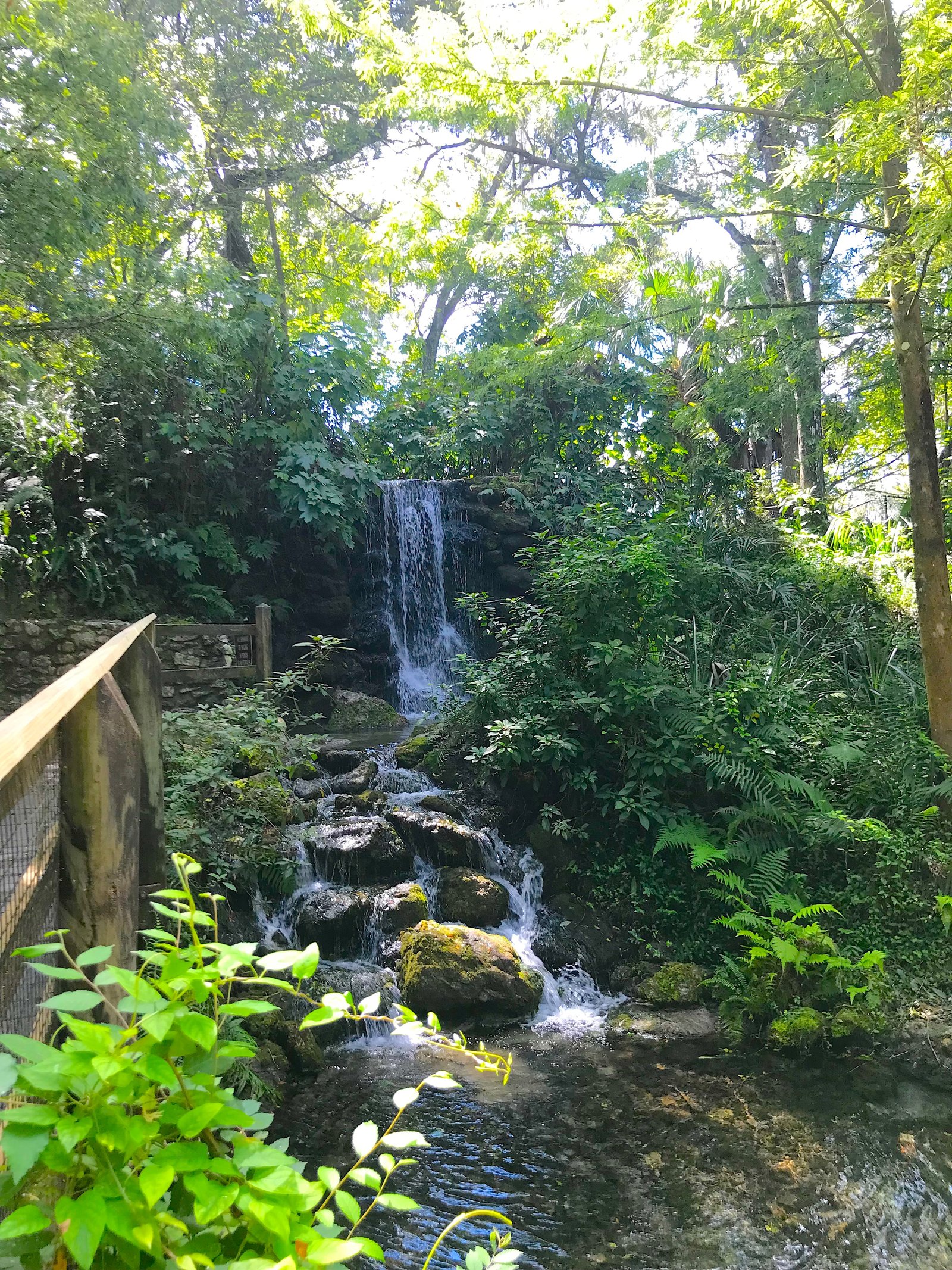 Historic man-made waterfall surrounded by lush green foliage and tropical plants at Rainbow Springs State Park in Florida.
