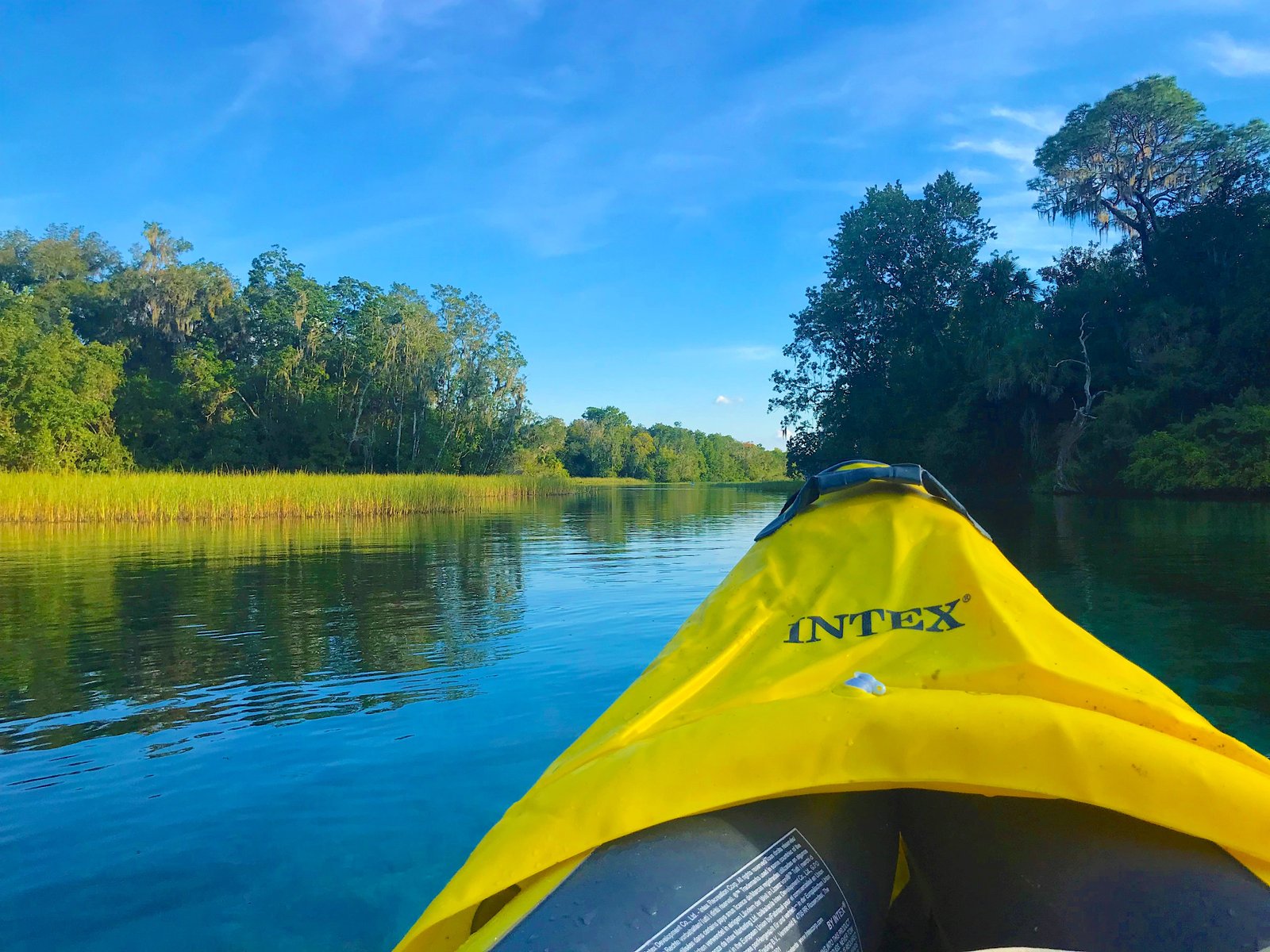 POV view from the front of a kayak paddling on the calm water with lush trees and grass lining the banks at Rainbow Springs.