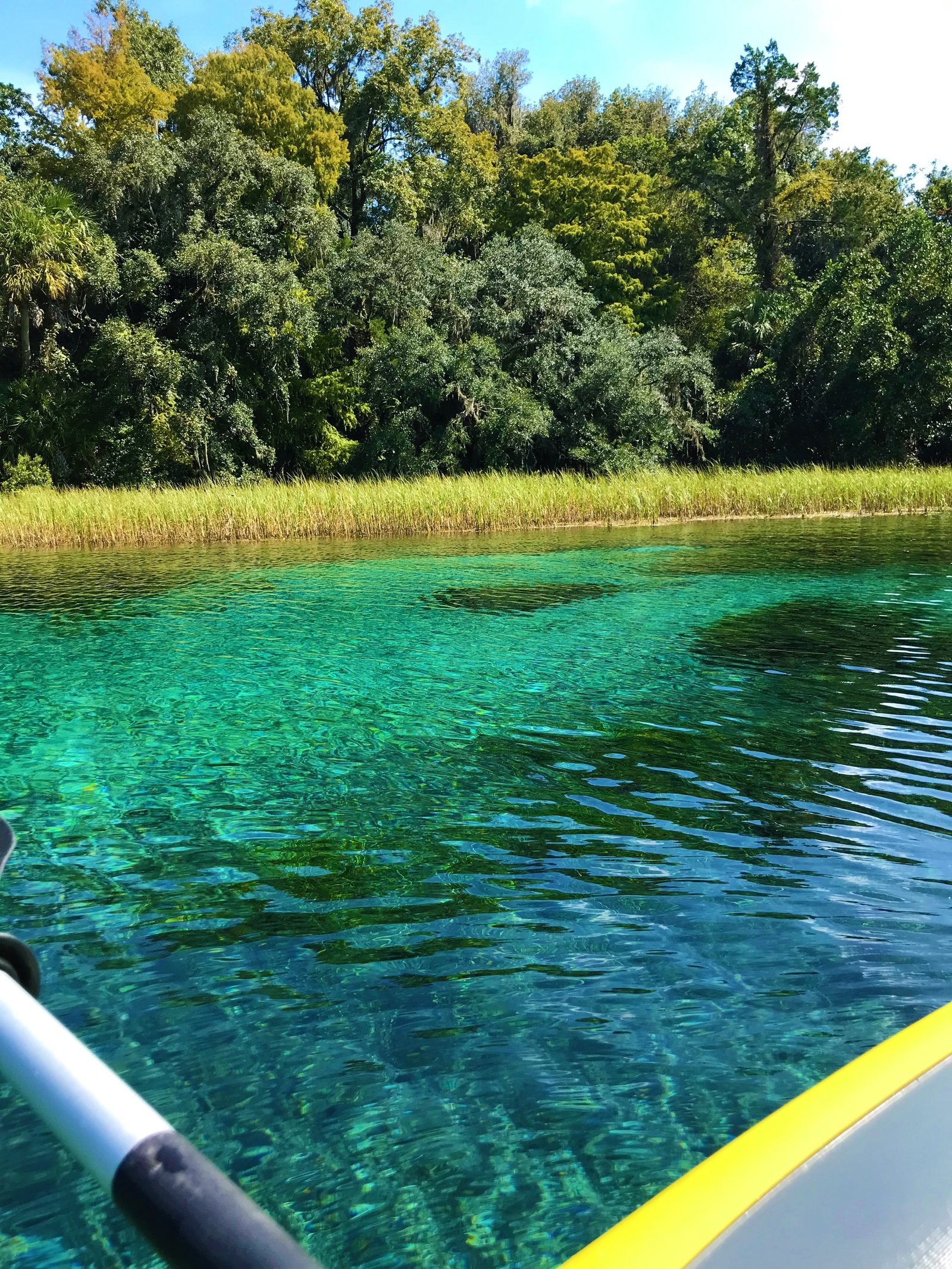 View from the side of a kayak showing clear turquoise water and large rocks visible underneath on the Rainbow River in Florida.