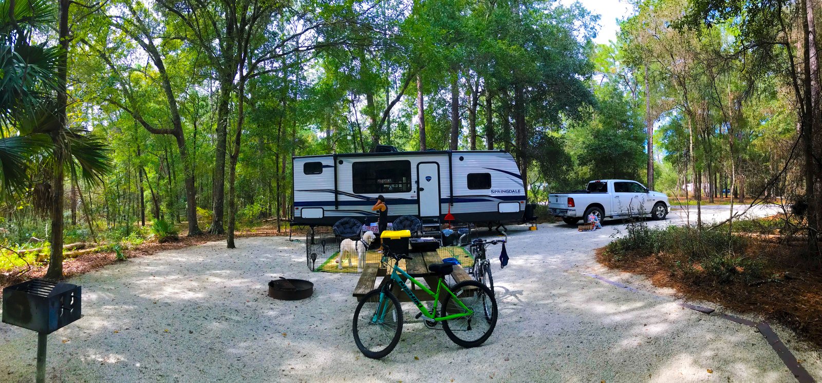 A truck and travel trailer parked at a shaded campsite at Silver Springs Campground with bicycles and trees surrounding the area.