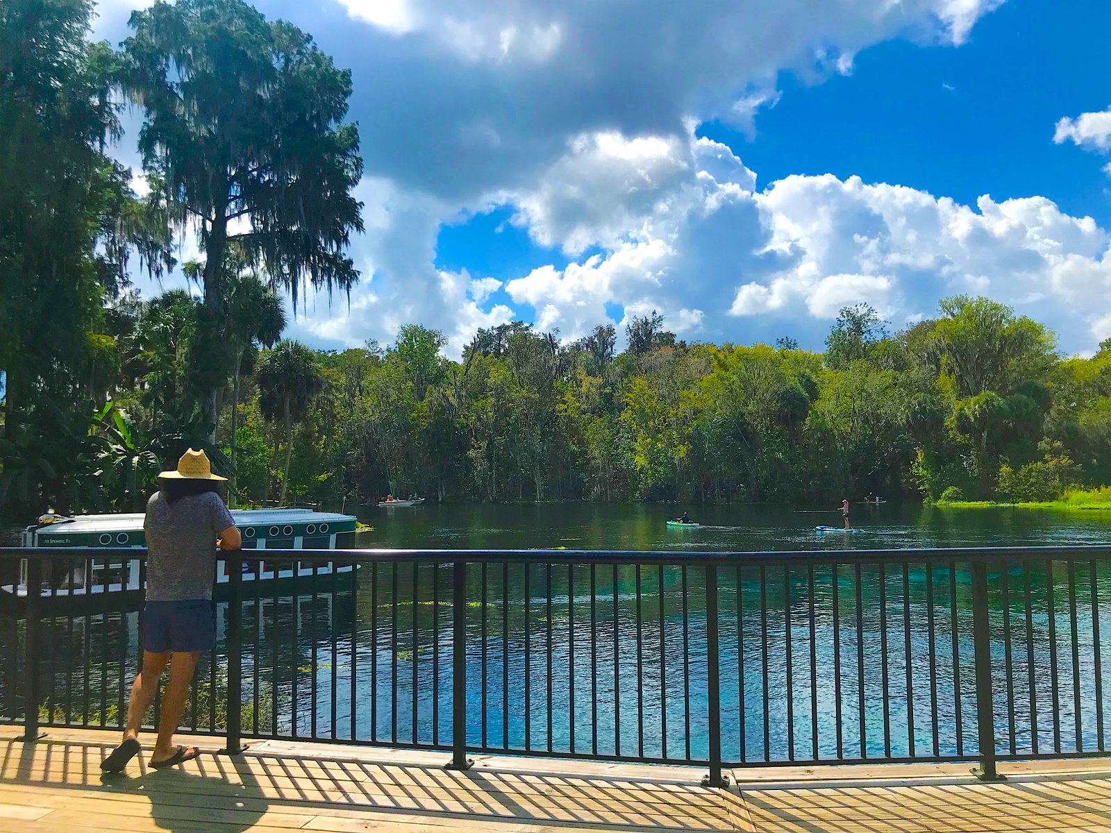 Looking out over the crystal-clear water and lush tree line at Silver Springs with a historic glass-bottom boat docked nearby.