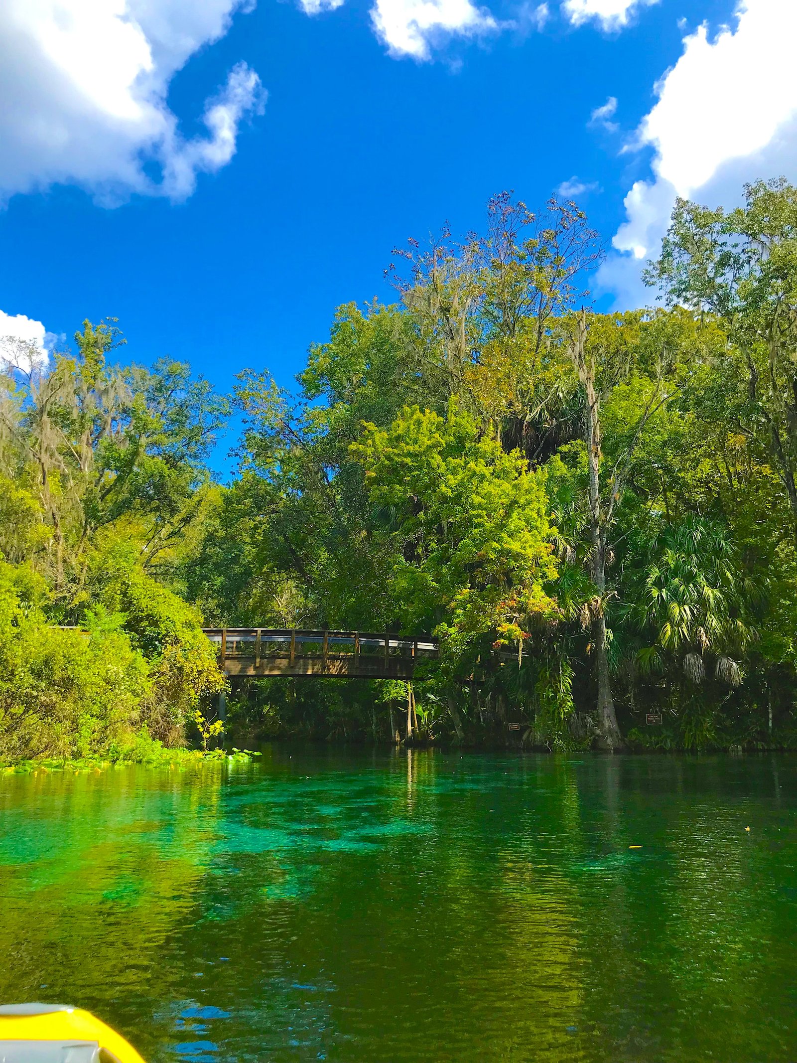 First-person view from a kayak paddling on the crystal-clear water toward a scenic bridge at Silver Springs State Park.