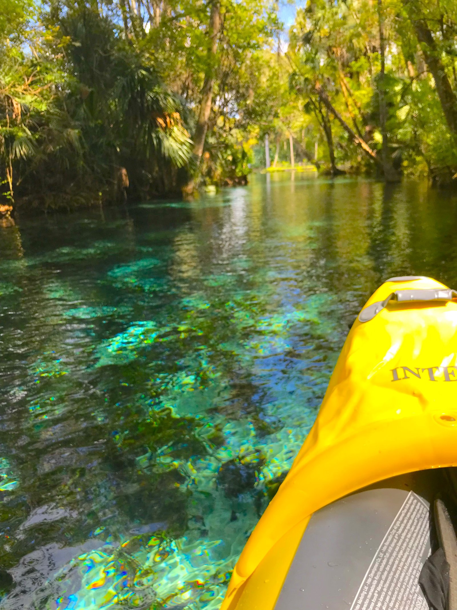 First-person view from a yellow kayak looking down into the crystal-clear turquoise water at Silver Springs State Park.
