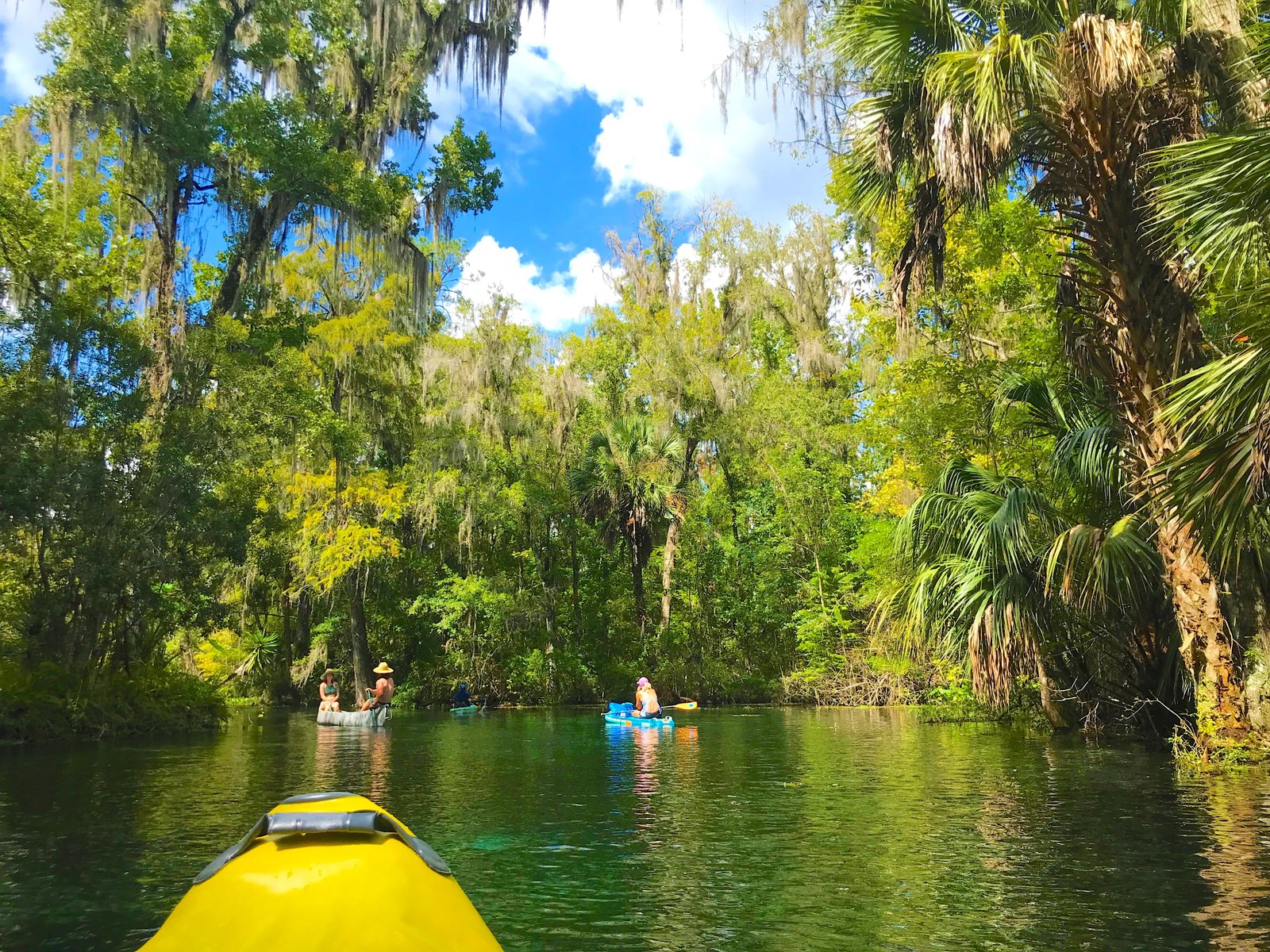 Kayakers paddling along a narrow, scenic stretch of the Silver River surrounded by lush green trees and crystal-clear water.