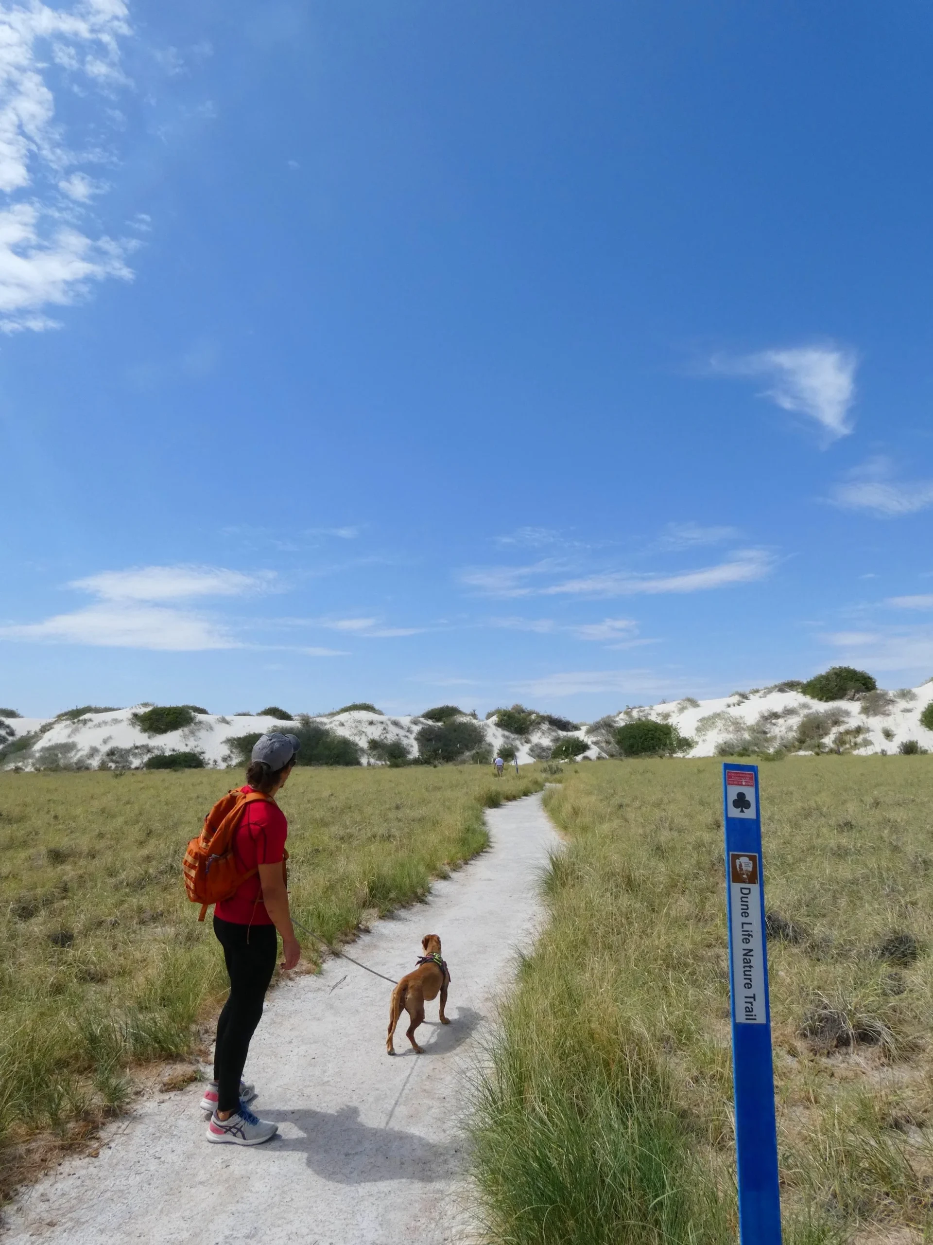 A man and a dog at the trailhead starting a hike on the Dune Life Nature Trail surrounded by desert plants at White Sands National Park.