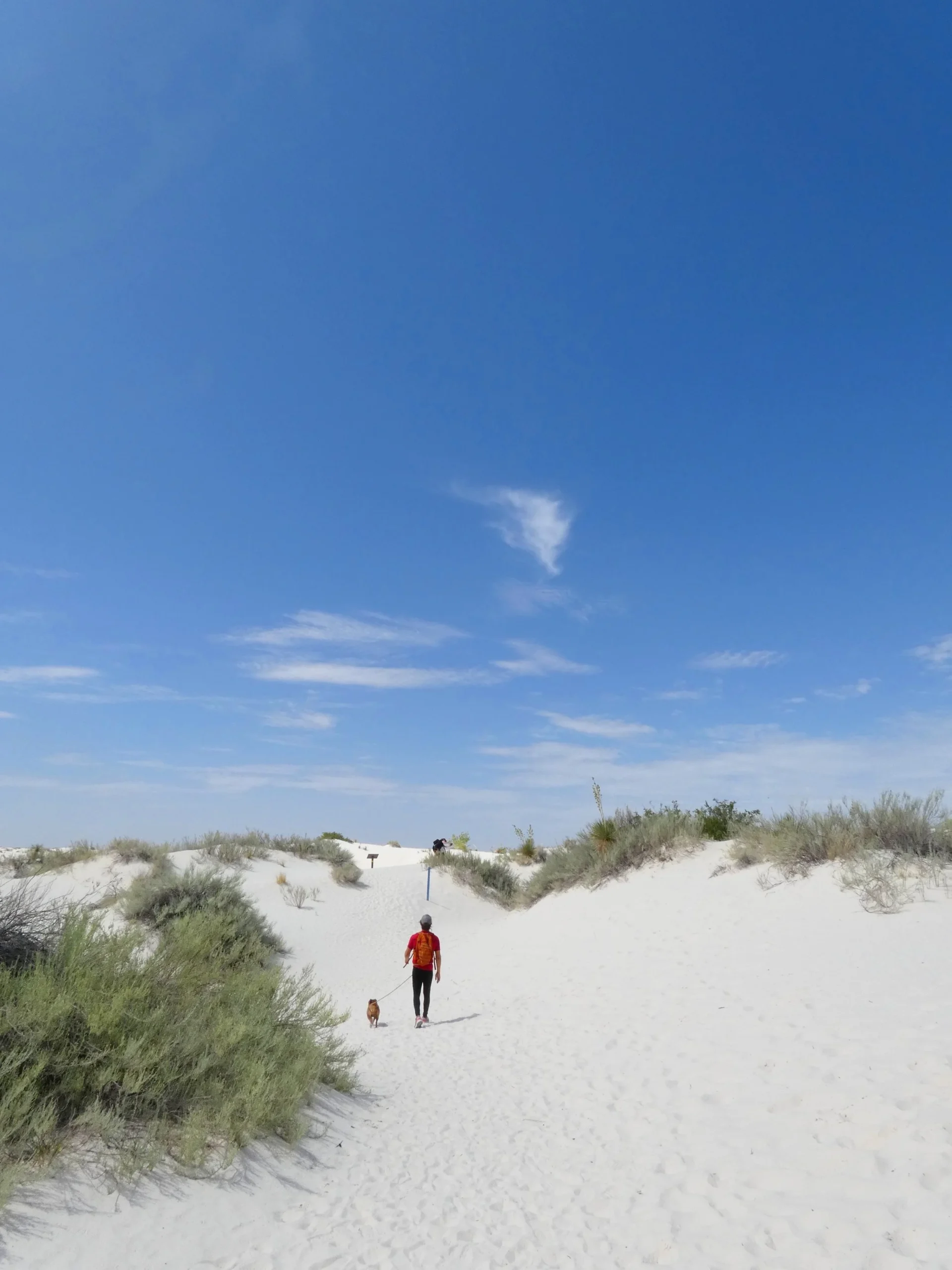 Walking through the sandy dunes past hardy desert vegetation during a hike at White Sands National Park in New Mexico.