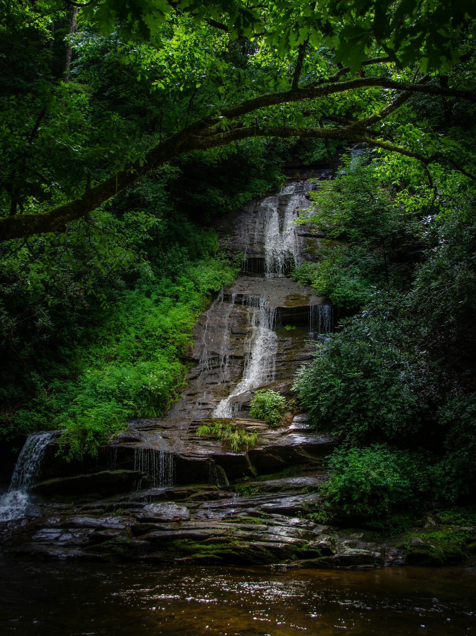 A cascading waterfall flowing over mossy rocks surrounded by lush green forest foliage in the Great Smoky Mountains National Park.