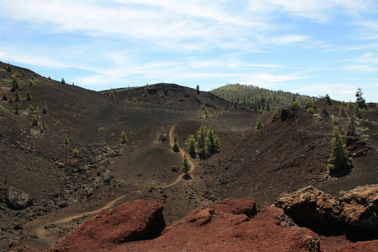 Winding dirt trail leading through dark lava rock and scattered green trees at Craters of the Moon
