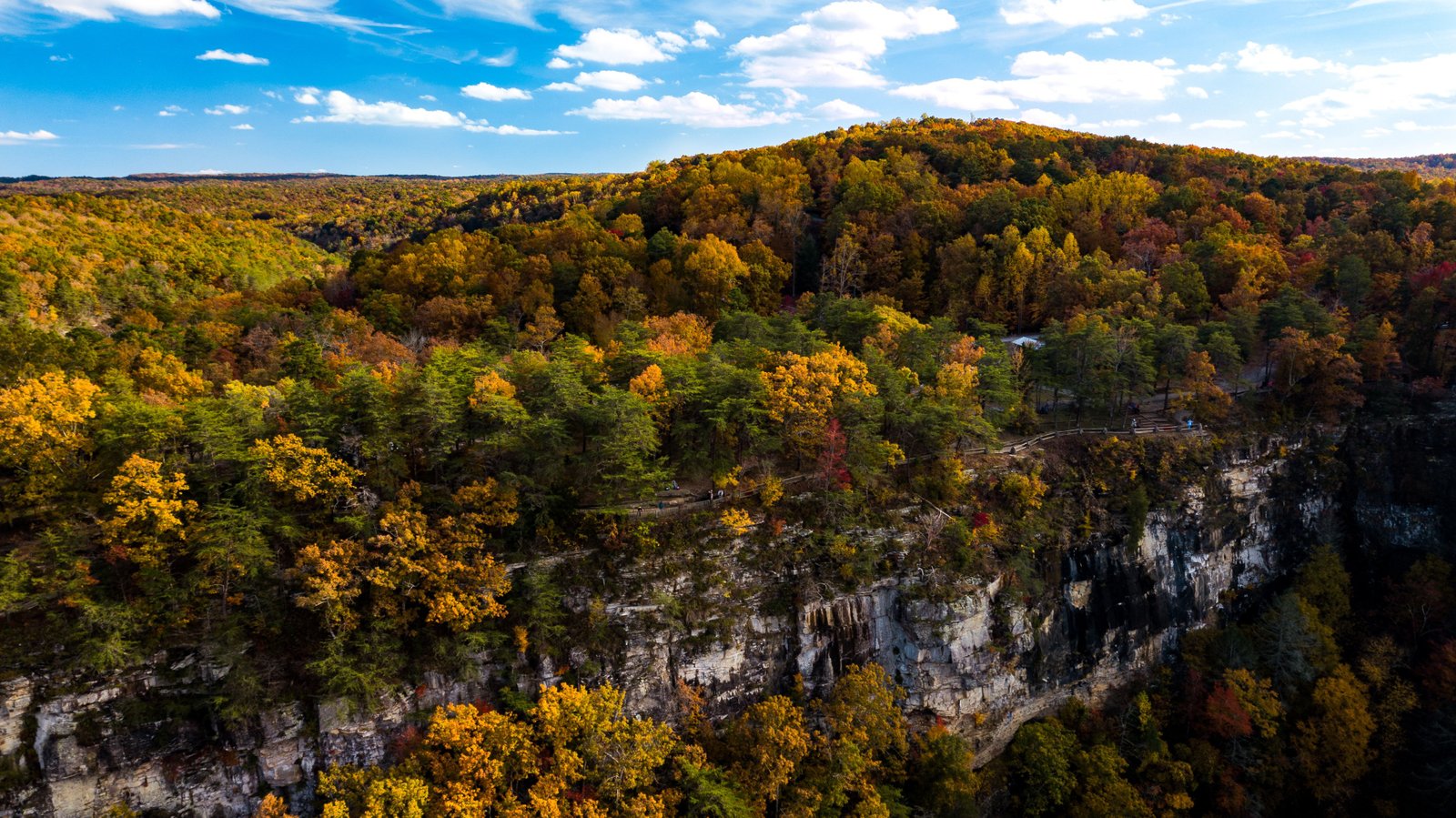 photo of mountain with fall leaves