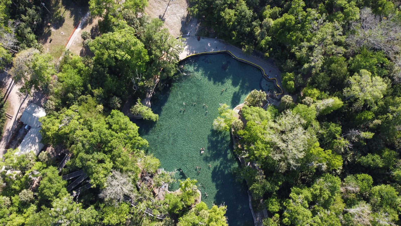 Aerial drone view of the vibrant green spring pool and surrounding dense forest canopy at Wekiwa Springs State Park
