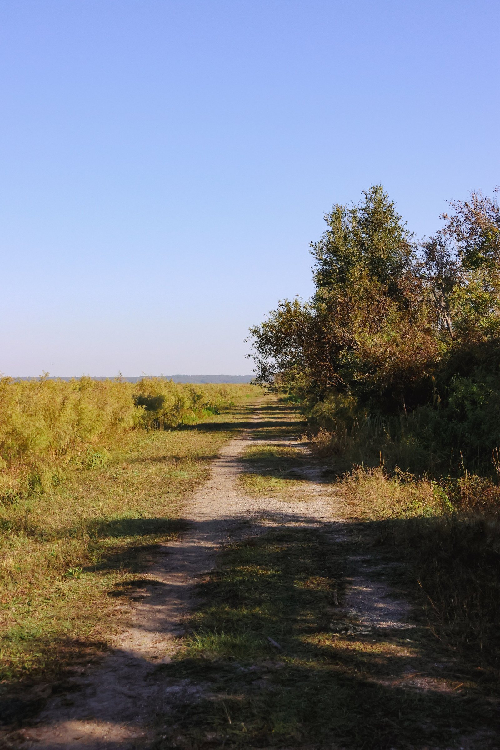 A long, straight dirt path stretching forward with open grassy fields on the left and trees on the right under a clear blue sky on Cone's Dike Trail.