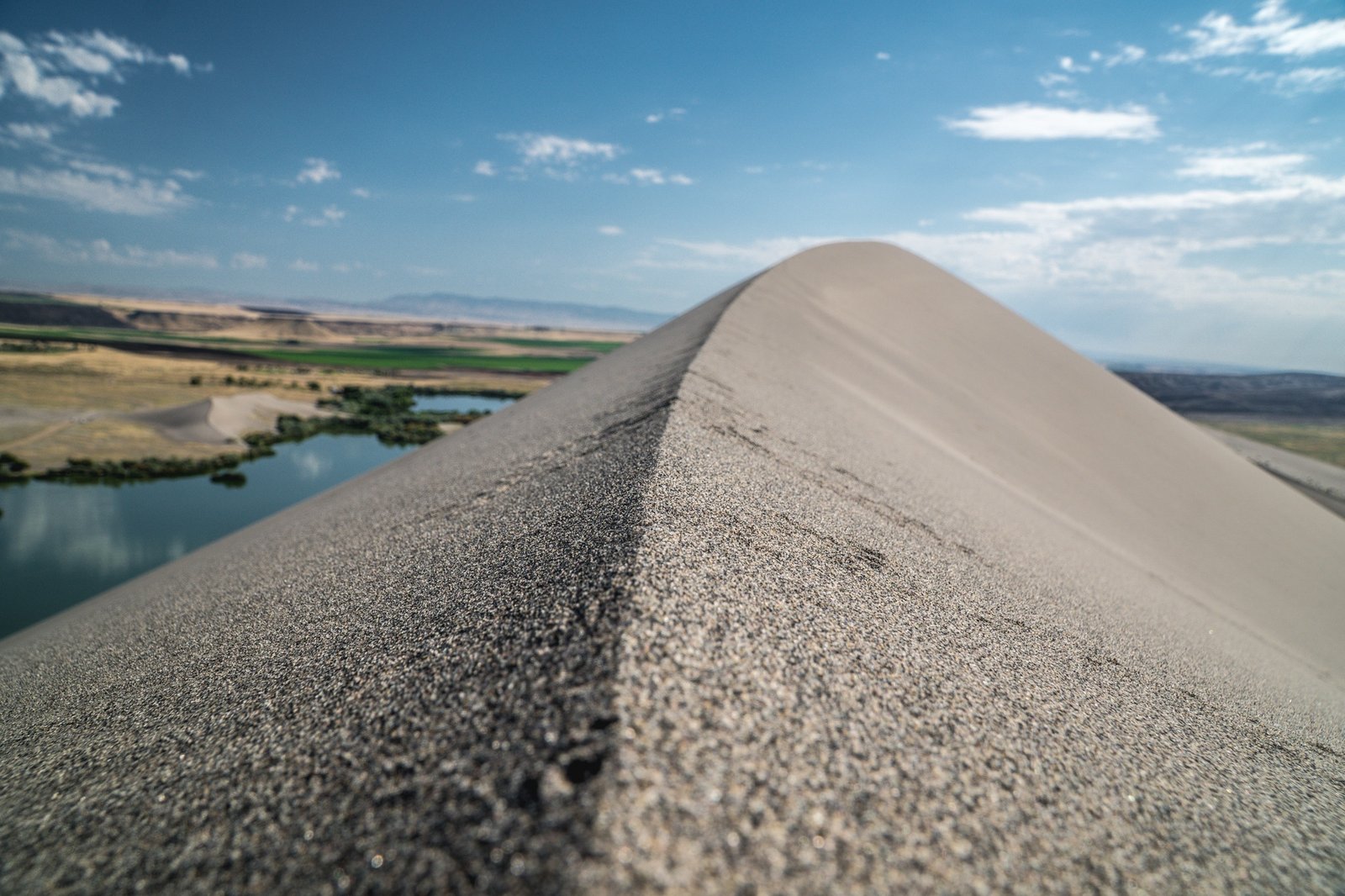 Close-up texture of rippled sand on a Bruneau Dunes crest in Idaho, with the distant lake softly blurred in the background.