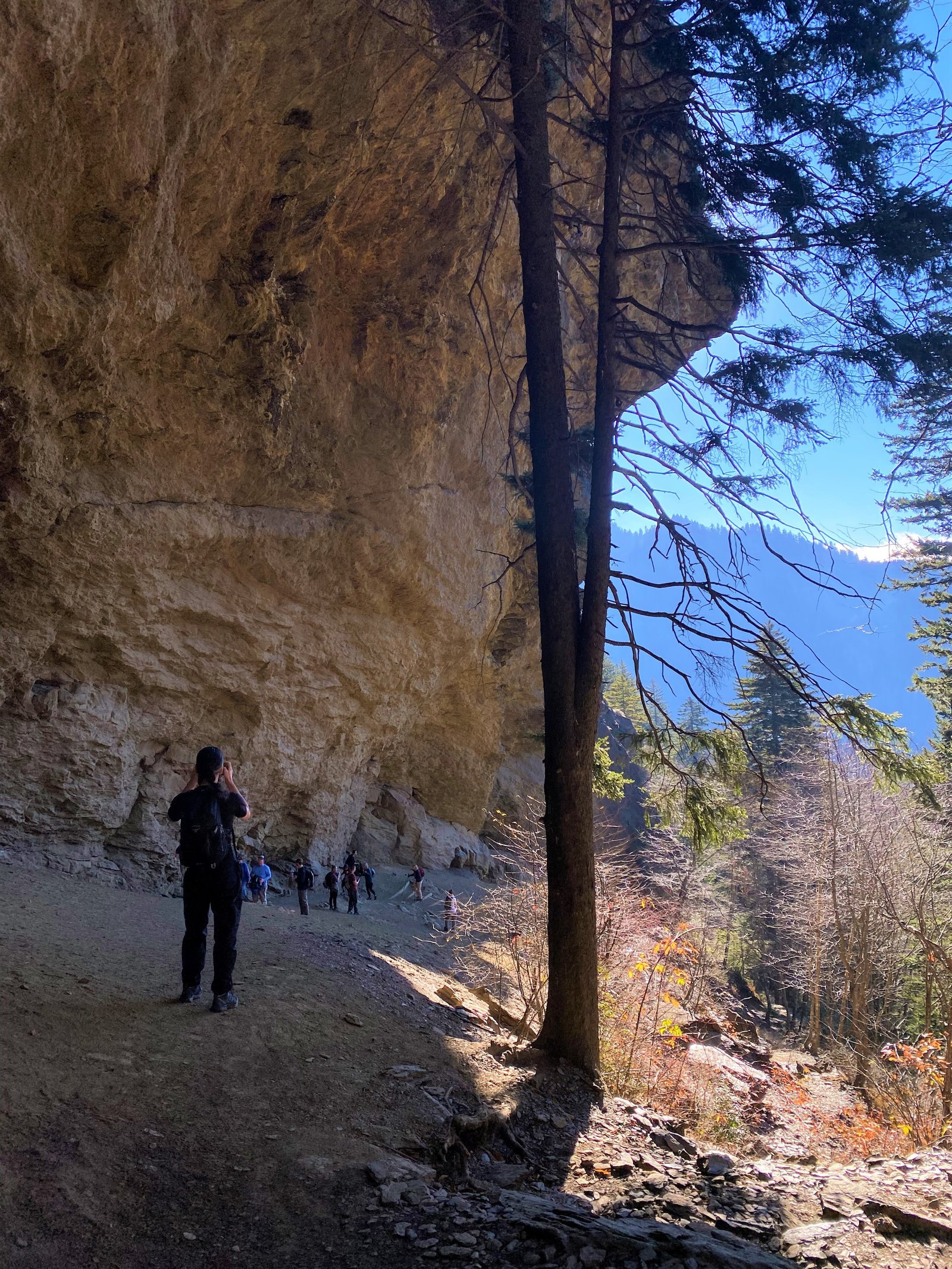View looking outward from beneath the massive stone canopy of Alum Cave Bluffs over the surrounding Smoky Mountain forest.